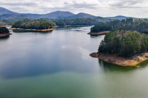 Fire Pit + Community Perks: Murphy Family Cabin! House in Tennessee
