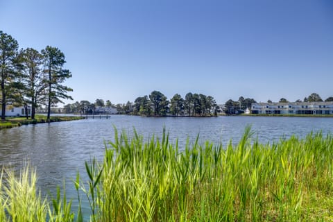 2 Mi to Beach: Gem w/ Enclosed Patio in Selbyville Apartment in Sussex County