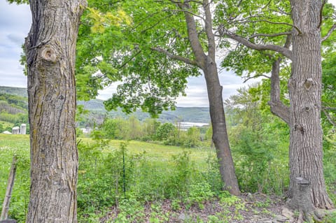 Family Home w/ Yard & Fire Pit in Middleburgh! House in Capital District, NY, USA