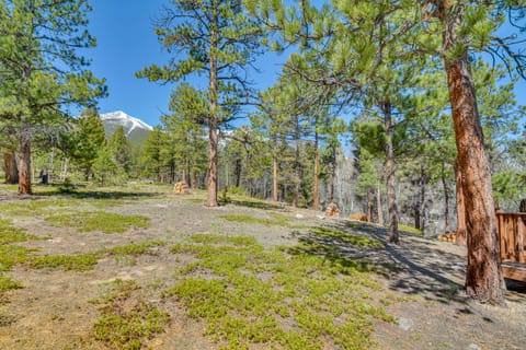 'McCall Creekside Cabin' Secluded Buena Vista Gem! House in Park County