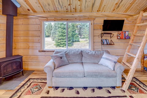 Mtn Views & Fireplace: Cozy Trout Creek Tiny Home Apartment in Idaho