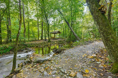 28 Acres: Home w/ Barn & Fire Pit Near Franklin! House in Tennessee