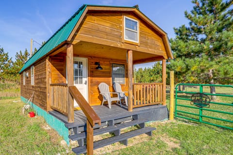 9 Mi to Lake Michigan: Secluded Cabin Getaway House in Michigan