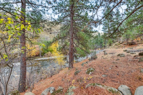 Cabin on Little Salmon River ~ 10 Mi to Riggins! House in Salmon River