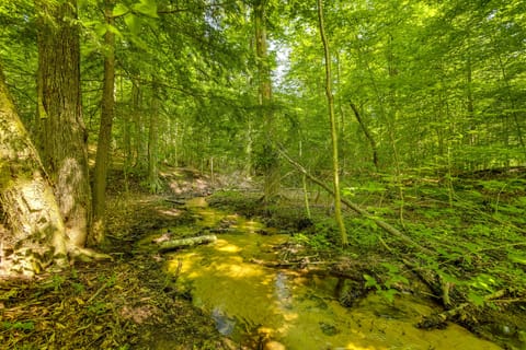 Explore Lakes & Beaches! Creekside Glen Arbor Home House in Sleeping Bear Dunes