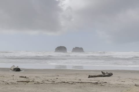1 Block to Twin Rocks Beach: Pet-Friendly Cottage Cottage in Washington