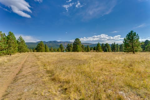 2 Mi to Angel Fire Resort: Mtn-View Condo! Apartment in Angel Fire