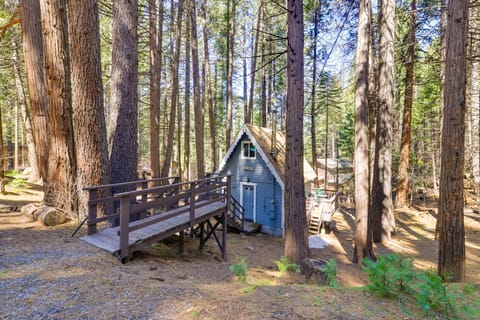 Hike, Ski & Sip: Arnold Cabin 4 Mi to State Park! House in Arnold