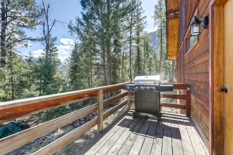 Steps to Crystal River: Hideaway w/ Mountain Views House in Colorado