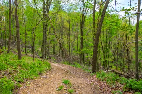 On-Site Trails to Mohican River: Tiny Home Retreat Apartment in Ohio