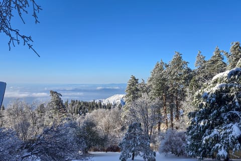 Stunning Deck Views: Cozy Running Springs Cabin House in Running Springs