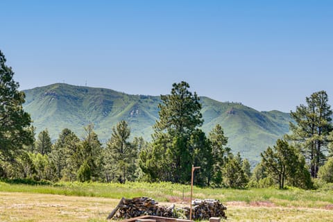 Mountain Escape Nestled in Quaint, Historic Mancos Apartment in La Plata County