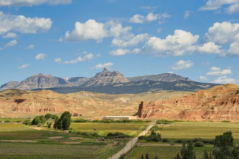 Property view