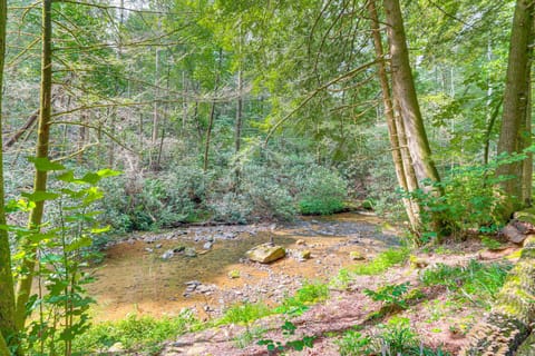 Creekside Family Home in Cleveland: Stay & Play! House in Union County