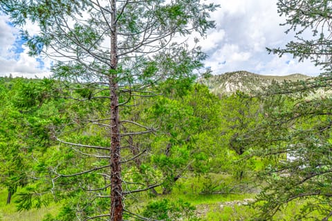 'Ridgeview Adventure' - 14 Mi to Ski Apache! House in Alto