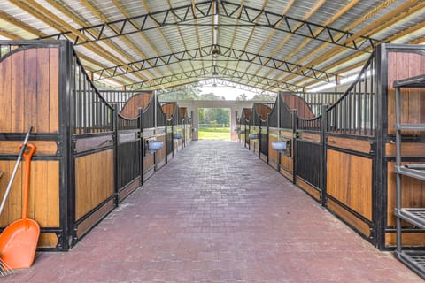 16 Mi to WEC: Horse-Friendly Home on 5 Acres! House in Florida