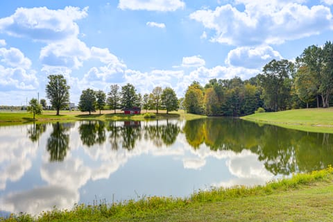 Fish, Unplug & Unwind! Countryside Plymouth Home House in Ohio