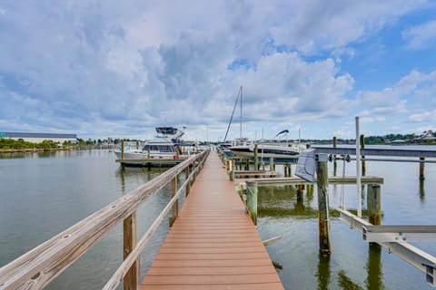 Panama City Condo w/ Dolphin Views & Marina Access Apartment in Highway 30A Florida Beach