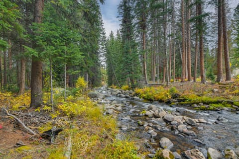 'The Mountain Chalet' - Free Ski Shuttle to Lifts! Apartment in Fraser
