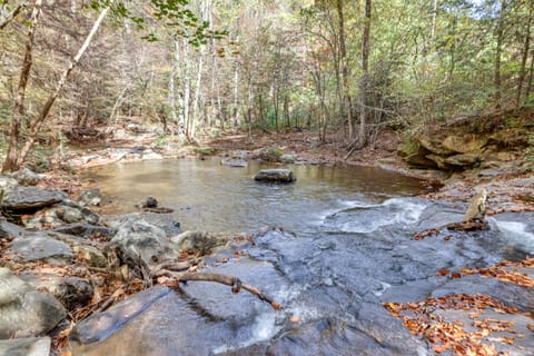 Forest-View Gem on Vaughn Creek < 1 Mi to Dtwn! House in Tryon