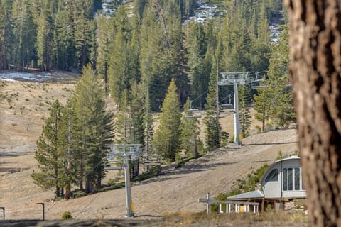 Mammoth Mtn Ski-In/Out Condo w/ Hot Tub Access! Apartment in Mammoth Lakes
