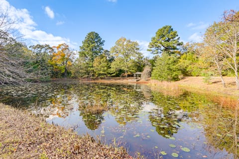 Pond Mountain Springs 'Hawk Cabin,' 4 Mi to Dtwn House in Arkansas