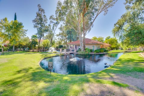 Mtn-View Tucson Home Near Hiking & Biking House in Tanque Verde