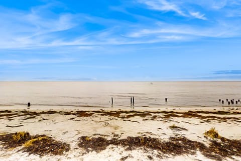 Bring Your Pets, Walk to Beach! St Teresa Haven House in Florida