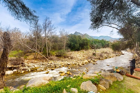 Yard & Patio: Quiet & Well-Stocked Riverside Home House in Three Rivers