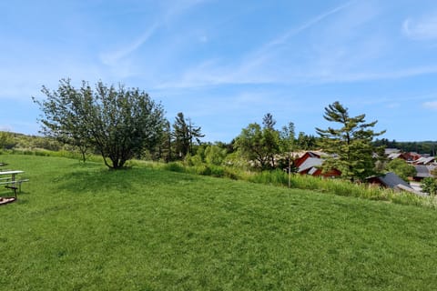 Adventure Basecamp! Three Bears Resort Retreat Apartment in Warrens