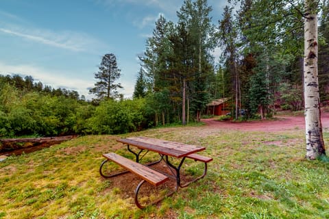 Deck & Mtn Views! Family A-Frame Cabin in Bailey House in Bailey