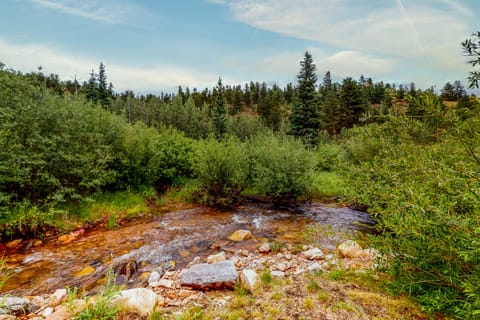 Deck & Mtn Views! Family A-Frame Cabin in Bailey House in Bailey