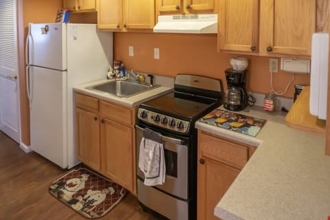 1 BR Home w/ Jetted Tub & Cozy Living Room Apartment in Pigeon Forge