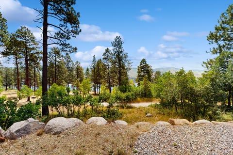 Romantic Mountain Retreat Near Vallecito Lake! House in La Plata County