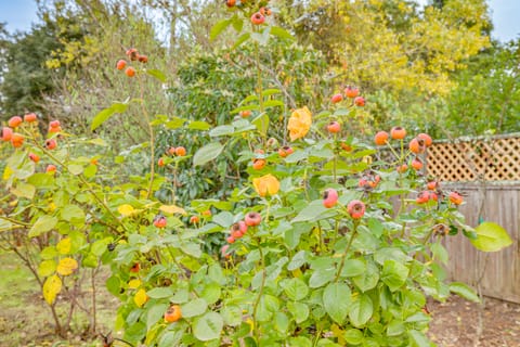 Extended Wine Country Stay! Cozy Home in Sonoma House in Boyes Hot Springs