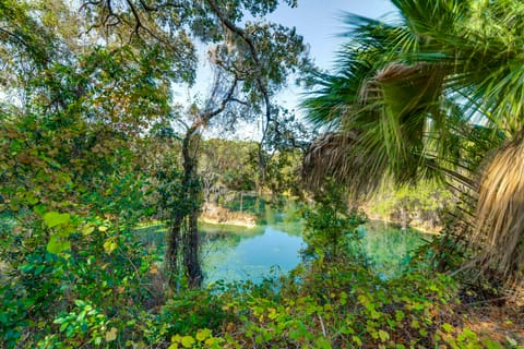 Suntan, Splash & Score: Family Home in Hernando House in Hernando