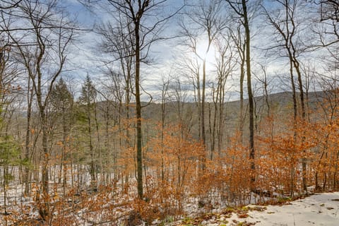 Near Okemo & Killington: Home w/ Sauna & Fireplace House in Plymouth