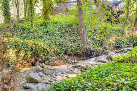 13 Mi to Beach! 'Forest Brook' Creekfront Cabin House in San Francisco Bay Area