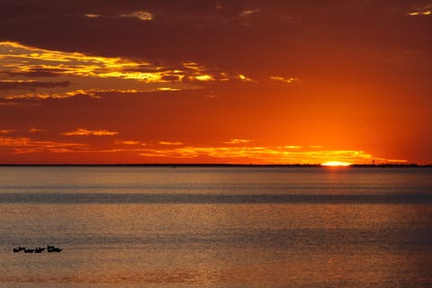 Beachfront, Stunning Views: Suntide III - Unit 403 Apartment in South Padre Island