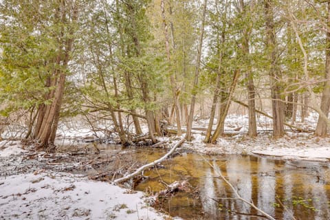 On-Site Trails & Trout Stream! NW Michigan Escape House in Michigan