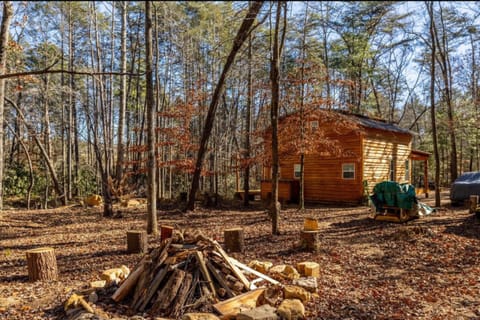 Hiker’s Haven: Cherokee National Forest Retreat! House in Tennessee