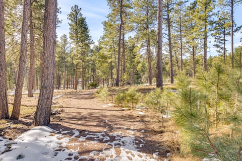 Trail Access On-Site! Wooded Colorado Springs Gem House in Black Forest