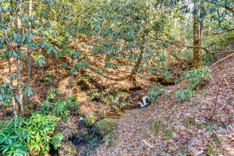 Hot Tub & Streamside Bliss! Topton Mtn Haven House in Nantahala