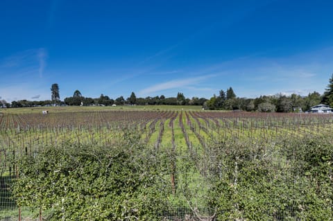 'Red Barn Guest Cottage' Wine Country Escape Apartment in Forestville