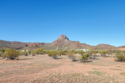 Pool & Views! Luxury Sonoran Desert Oasis Retreat House in Marana