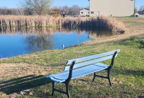 'Stargazer's Delight' in the Ozarks: Country Cabin Apartment in Ozark Mountains
