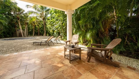 Deluxe Studio Suite | Terrace/patio