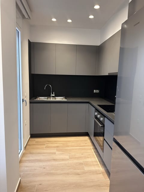 Panoramic Apartment (Elysia) | Private kitchen | Full-size fridge, microwave, oven, stovetop