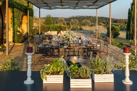 Balcony / Terrace / Patio, Outdoor