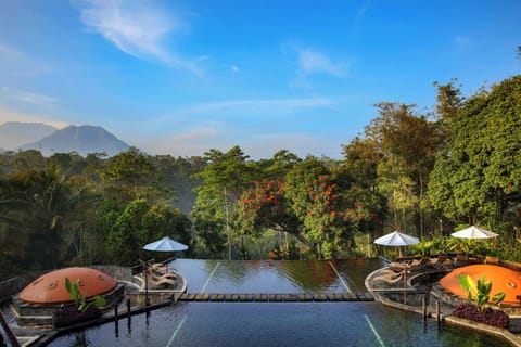 Outdoor pool, open 8:00 AM to 6:00 PM, pool umbrellas, sun loungers